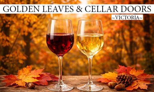 Golden_Leaves_Cellar_Doors_Website_Photo