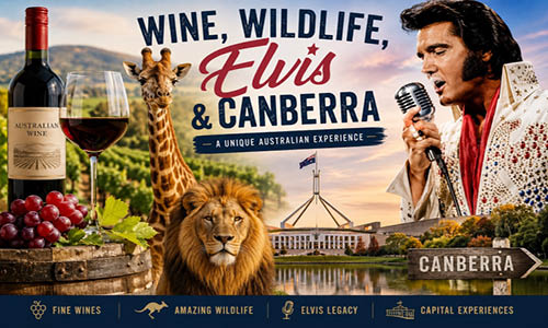 Elvis_Festival_Website_Photo_indd
